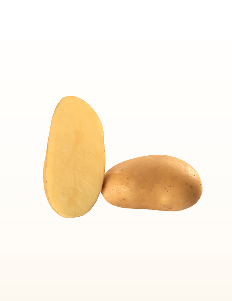 Pomme de terre Amandine